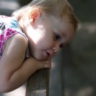 Wonderment at the zoo